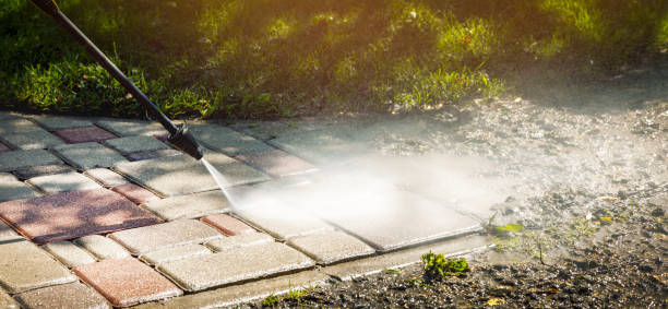 Best Driveway Pressure Washing  in Jenkintown, PA